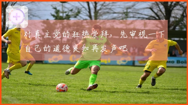 对真主党的狂热崇拜，先审视一下自己的道德良知再发声吧