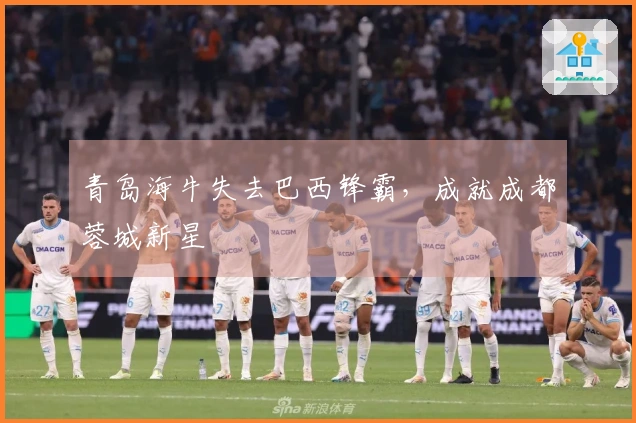 青岛海牛失去巴西锋霸，成就成都蓉城新星
